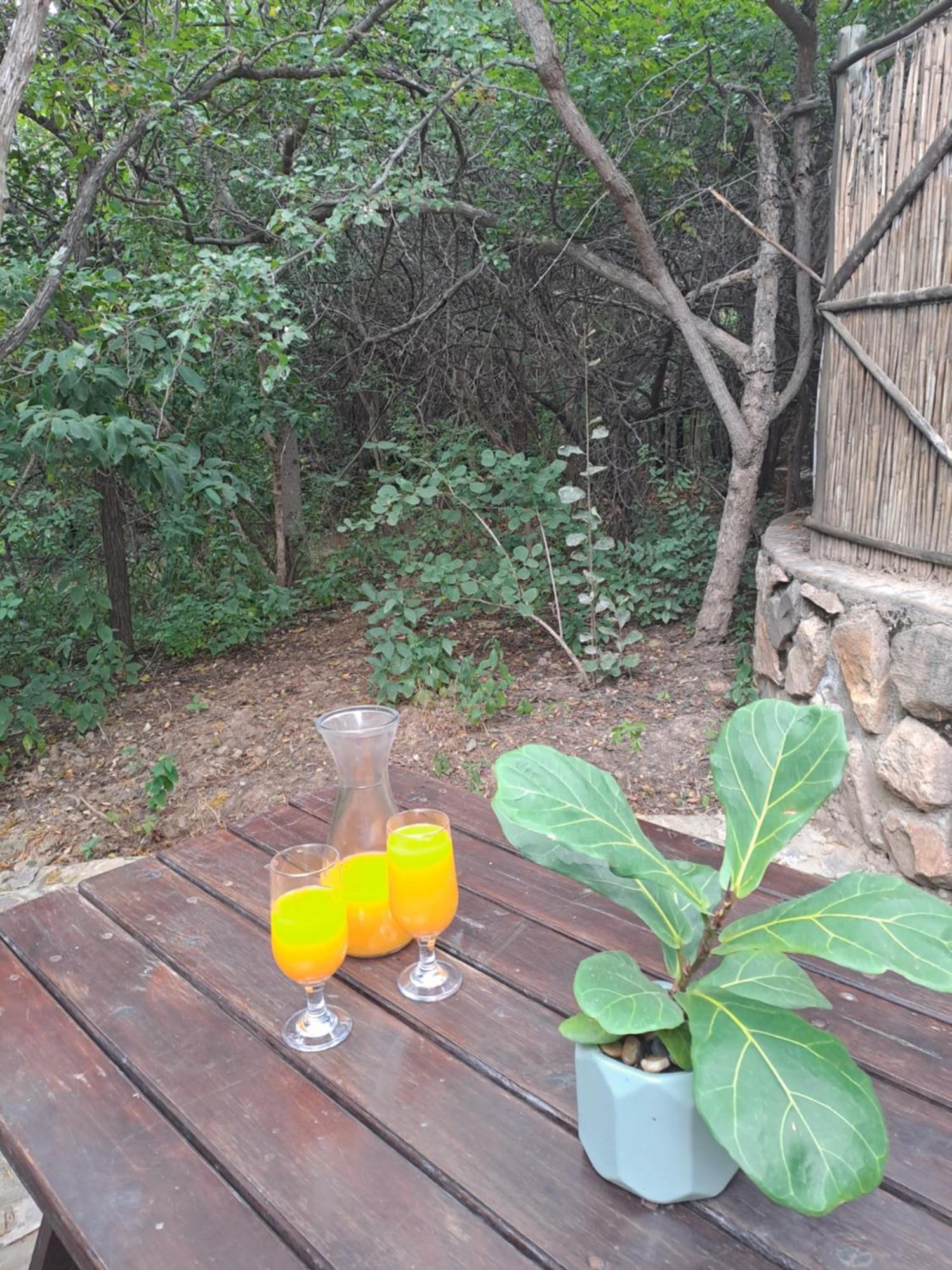 Little Bush Lodge Hoedspruit Exterior foto