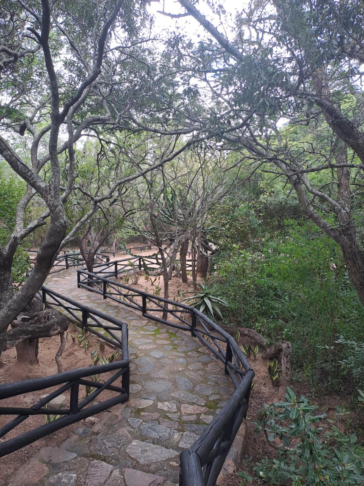 Little Bush Lodge Hoedspruit Exterior foto