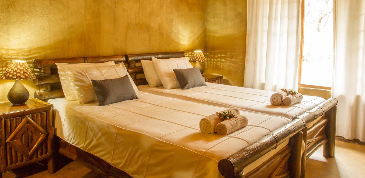 Little Bush Lodge Hoedspruit Habitación foto